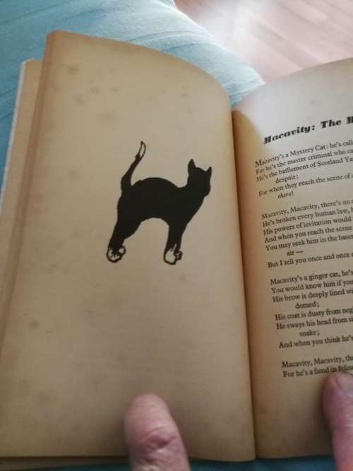 OLD POSSUM`S BOOK OF PRACTICAL CATS 1988  ( Poems for the young  )