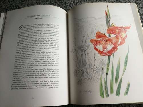FLOWERS OF SOUTHERN AFRICA AURIOL BATTEN Limited Edition