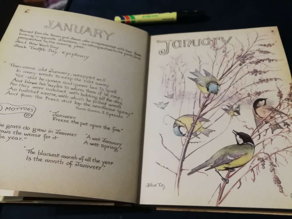 THE COUNTRY DIARY OF AN EDWARDIAN LADY EDITH HOLDEN