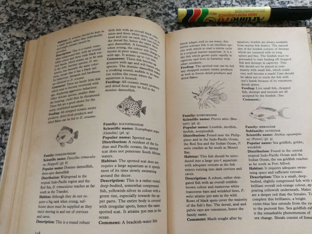 A MARINE AQUARIUM FOR SOUTH AFRICANS ARTHUR BELCHER Do it yourself  ( biology sea