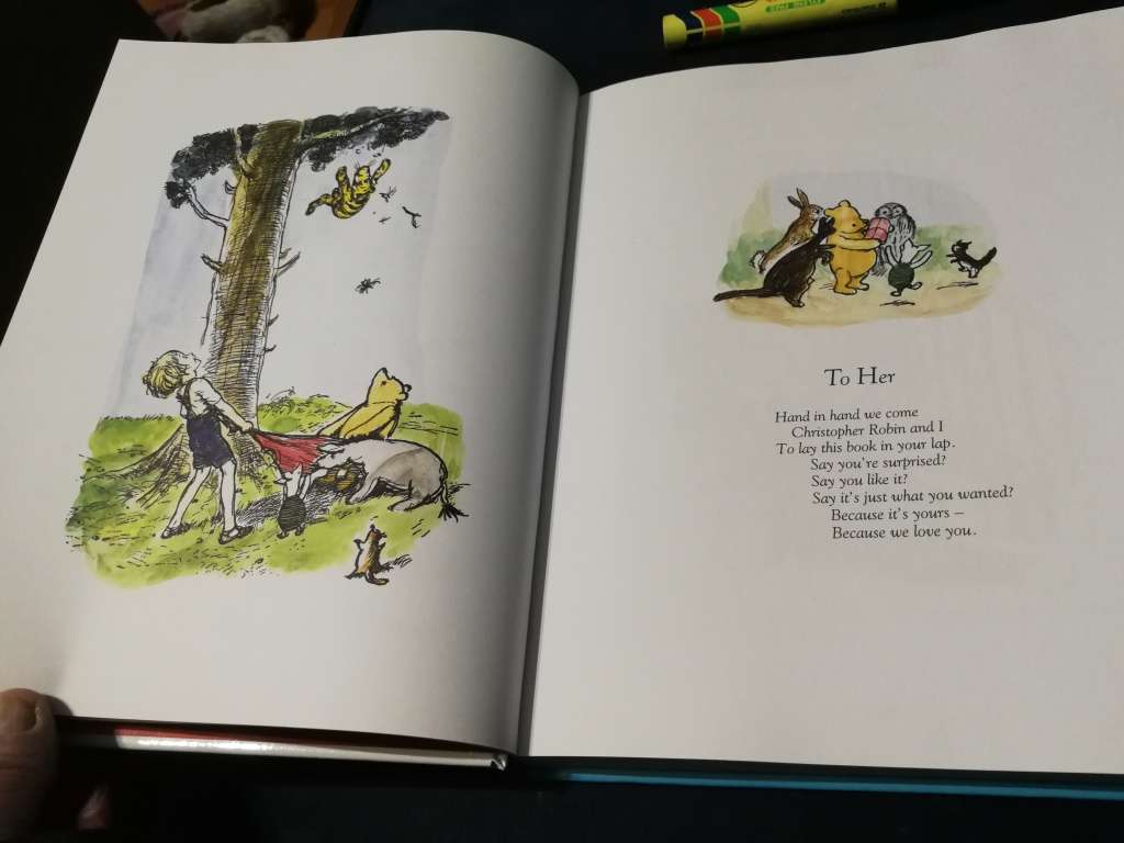 WINNIE THE POOH STORY COLLECTION A A MILNE DECORATIONS BY E H SHEPARD
