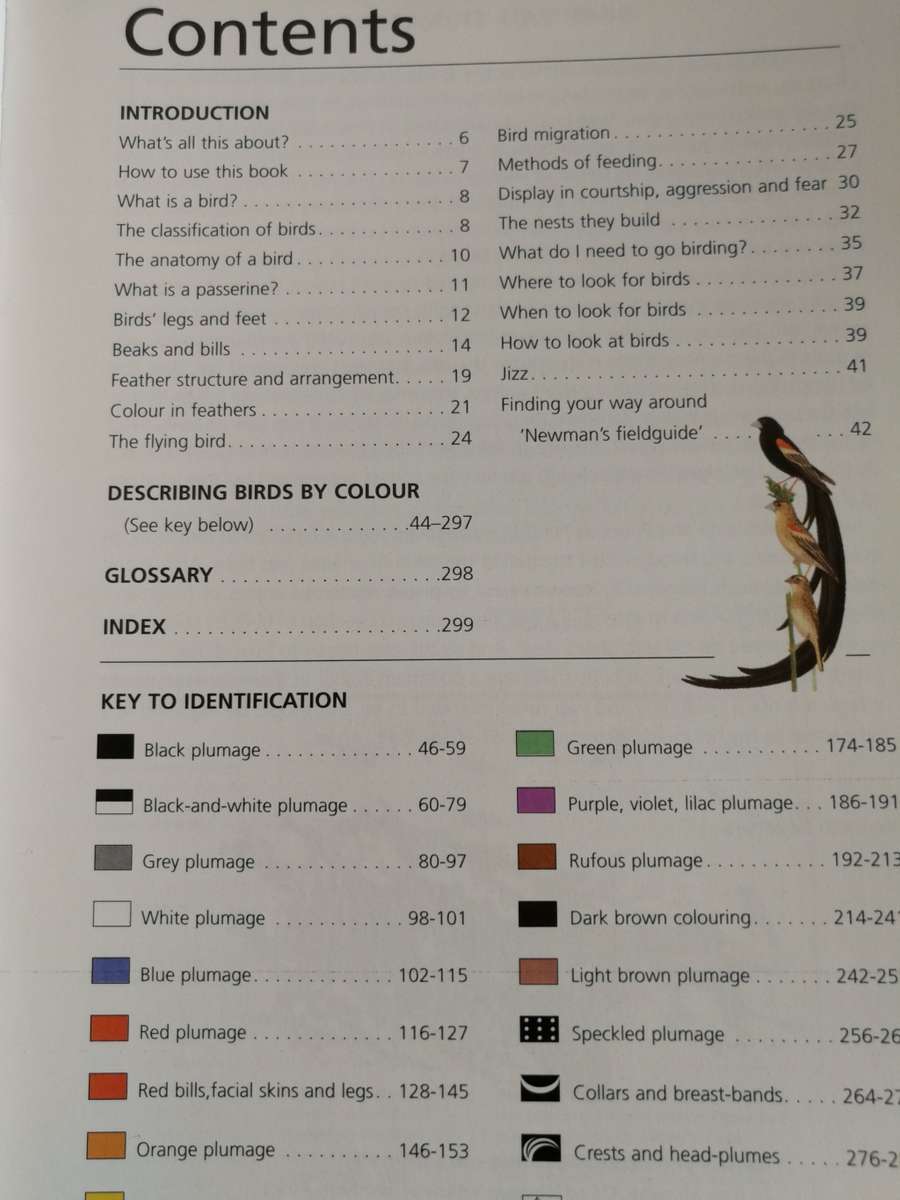 NEWMAN`S BIRDS BY COLOUR S A`s Common Bird`s arranged by COLOUR KENNETH NEWMAN note damage