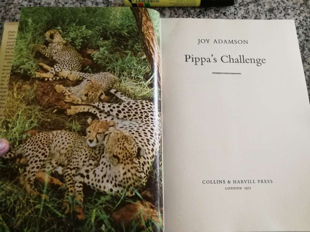 Reserved for TannieSua JOY ADAMSON PIPPA`S CHALLENGE ( of Born Free  - Kenya )