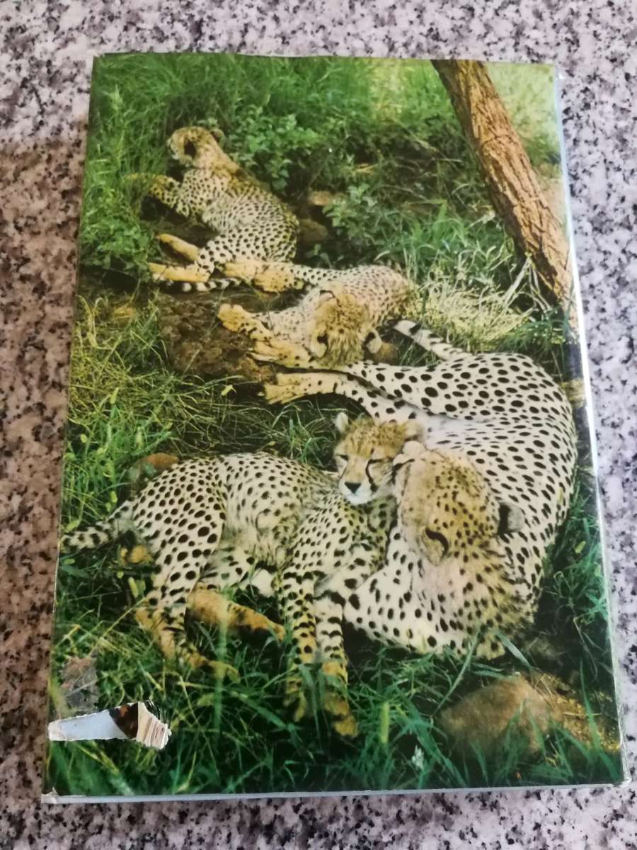 Reserved for TannieSua JOY ADAMSON PIPPA`S CHALLENGE ( of Born Free  - Kenya )