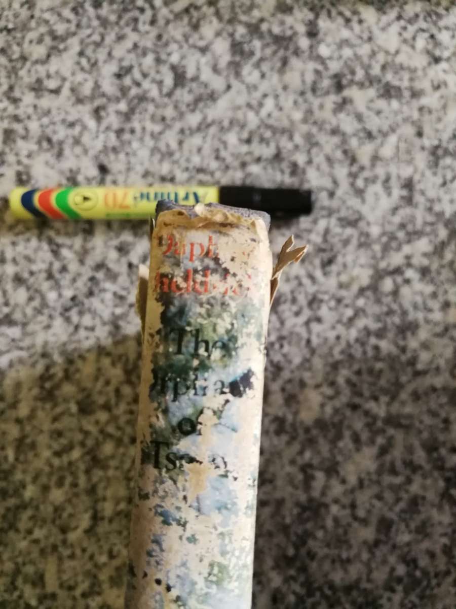 The Orphans of Tsavo by Daphne Sheldrick