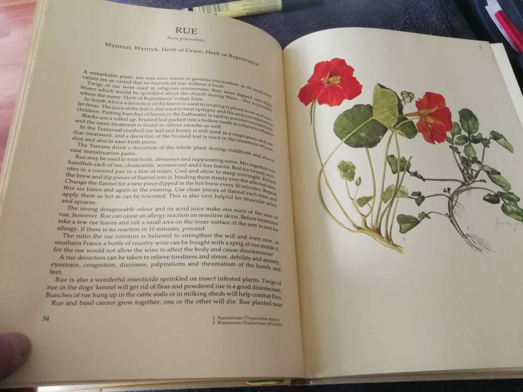 MARGARET ROBERTS BOOK OF HERBS THE MEDICINAL and CULINARY USES OF HERBS in SOUTH AFRICA