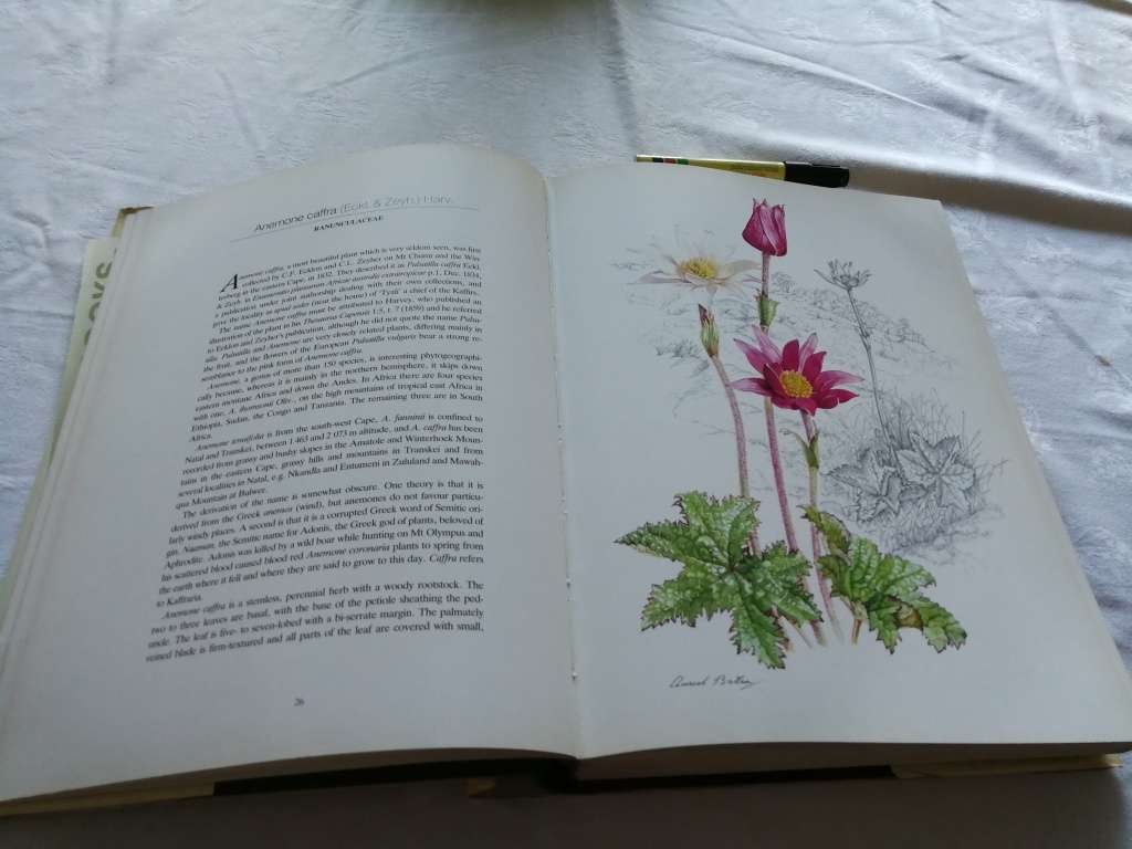 FLOWERS OF SOUTHERN AFRICA AURIOL BATTEN Limited Edition