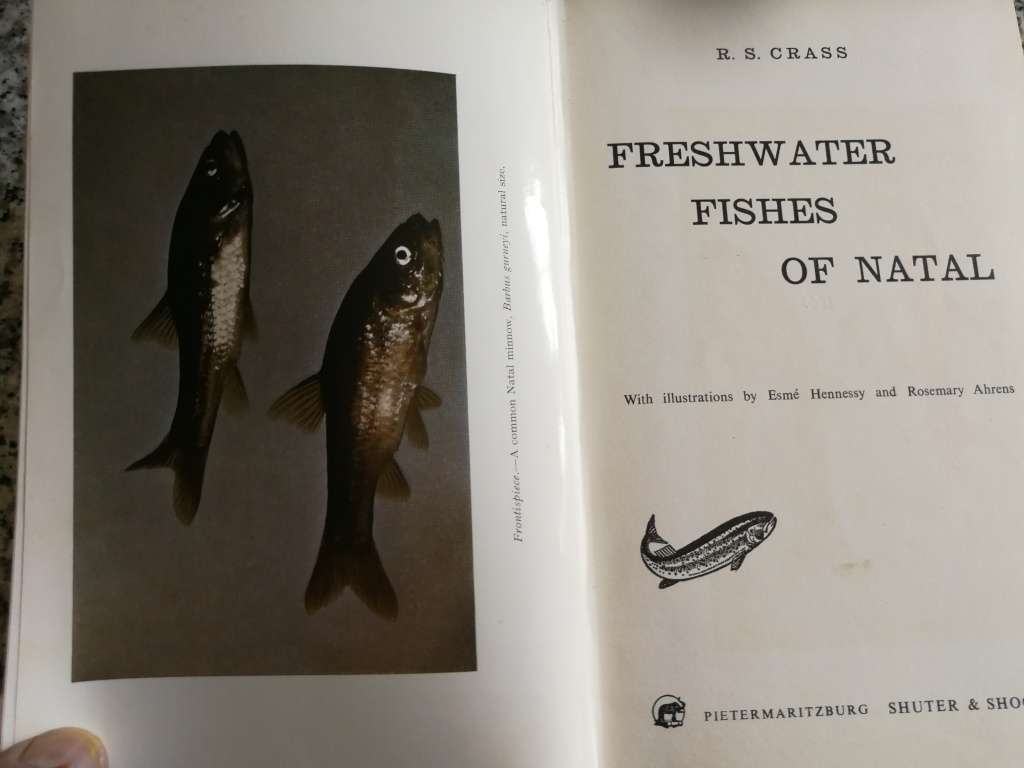 FRESHWATER FISHES OF NATAL R S CRASS 1964 ( fresh water fish )