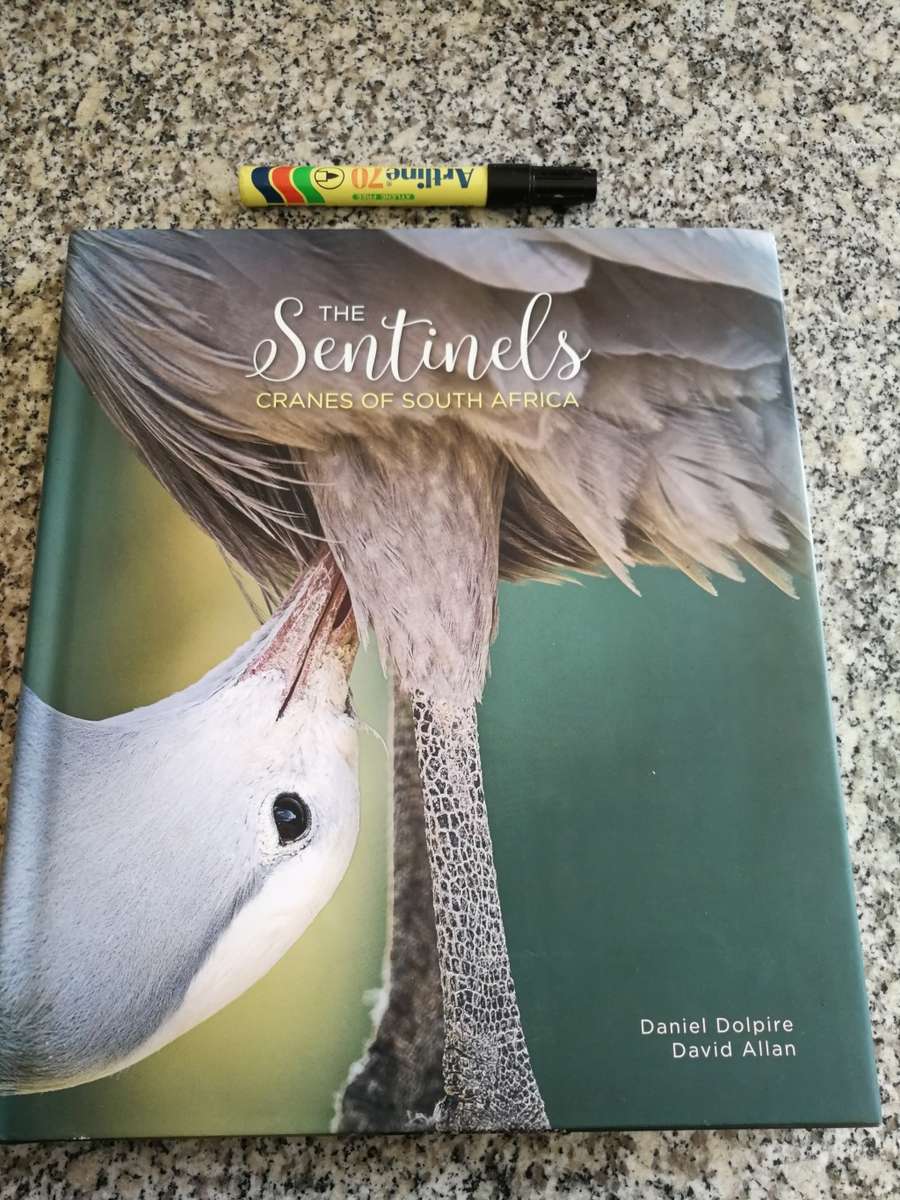 THE SENTINELS CRANES OF SOUTH AFRICA  DANIEL DOLPIRE DAVID ALLEN (  birds bird watching photography