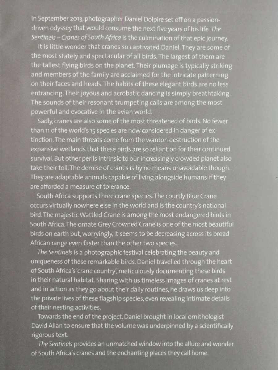 THE SENTINELS CRANES OF SOUTH AFRICA  DANIEL DOLPIRE DAVID ALLEN (  birds bird watching photography