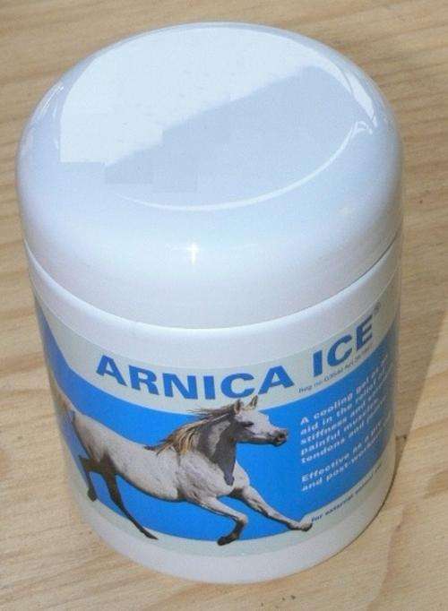 ARNICA ICE 500G