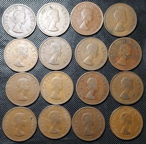 One Penny ( 1d )  Union of South Africa Lot of 16 Coins Elizabeth II