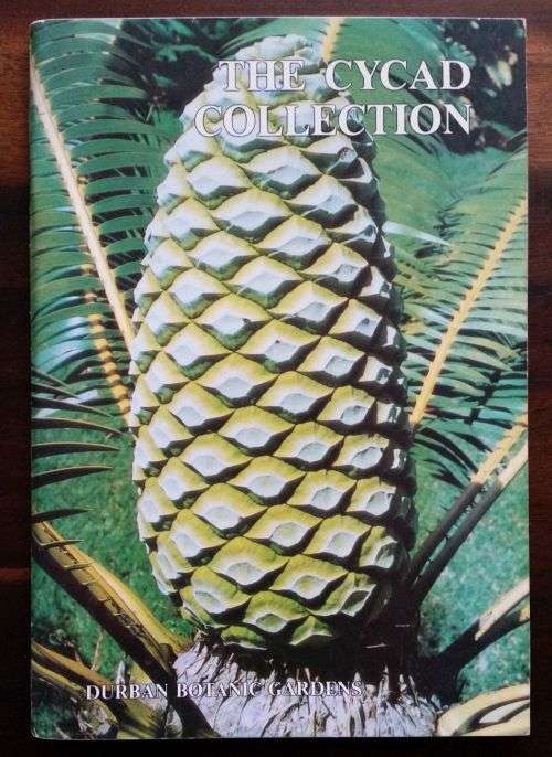 The Cycad Collection of the Durban Botanic Gardens ** PLUS ** Grow Cycads Kirstenbosch Gardens Seri