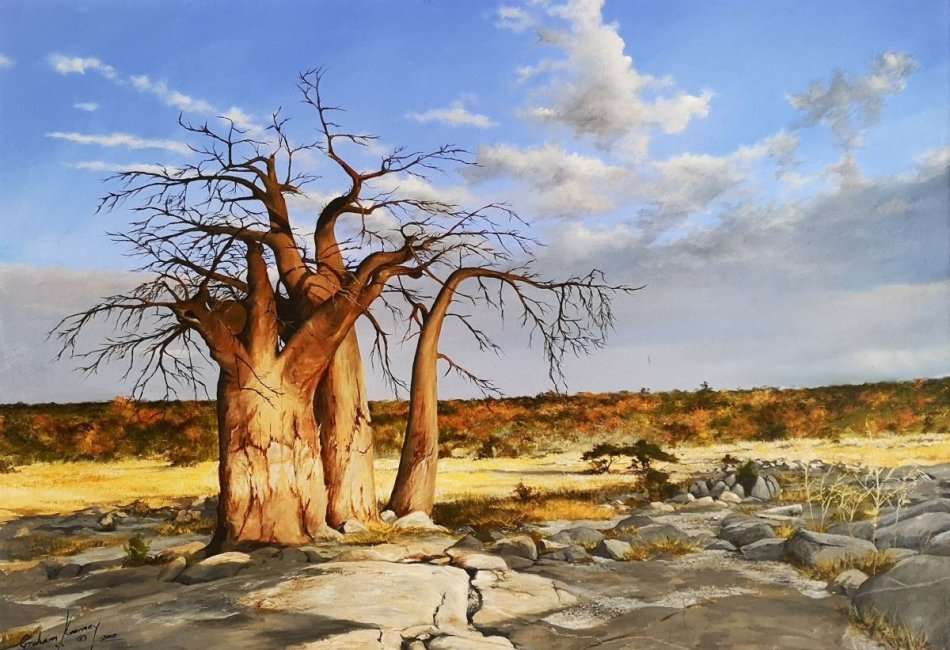 Graham Kearney (SA) oil on board - the magnificent African Baobab