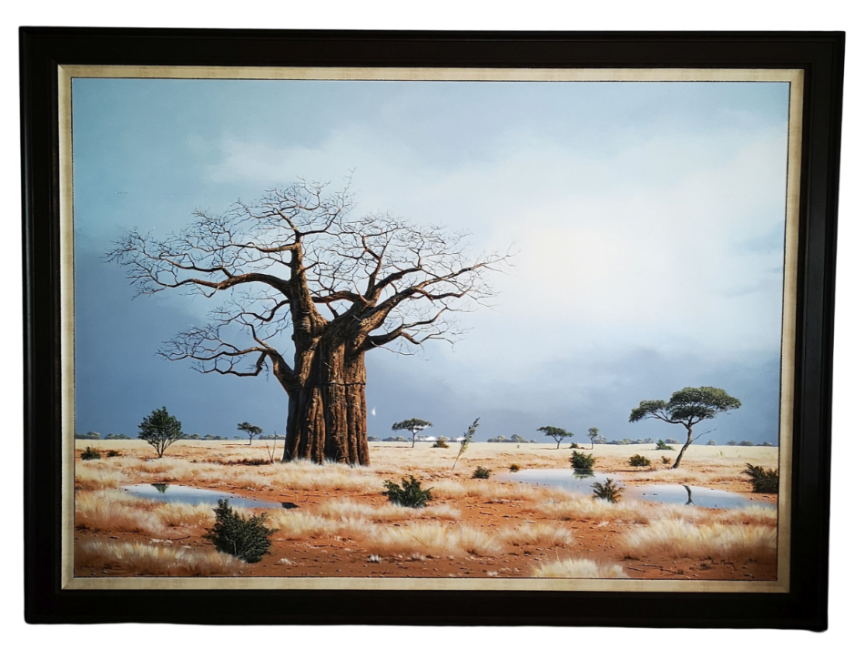 Paul Munro (SA) oil on board, this is a massive and dramatic landscape with a majestic Baobab