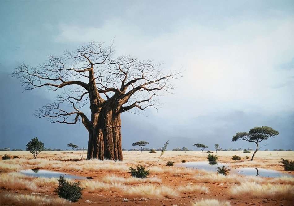 Paul Munro (SA) oil on board, this is a massive and dramatic landscape with a majestic Baobab