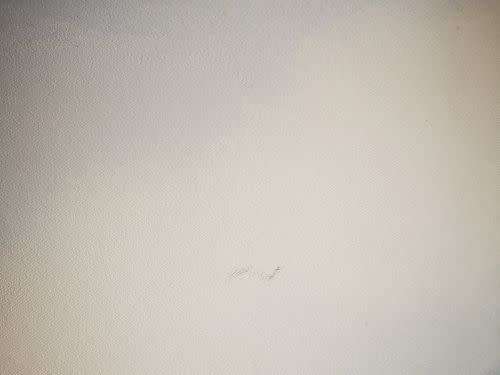 Paul Munro (SA) oil on board, this is a massive and dramatic landscape with a majestic Baobab