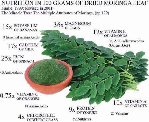 Moringa capsules 90's