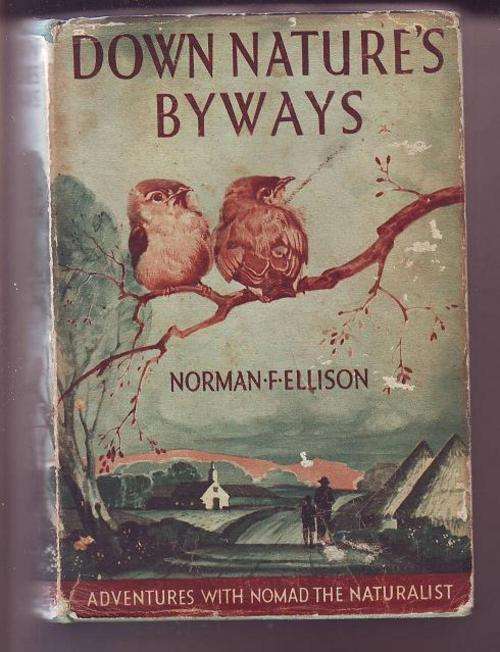 Antique Book:Sept. 1938print Down nature's byways (advetures with Nomad the naturalist)by NF Ellison