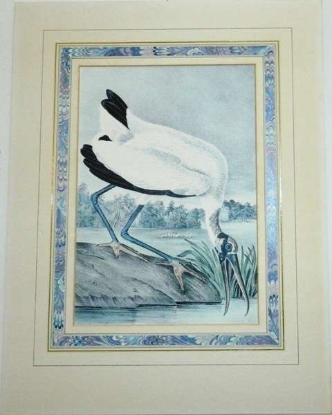 A Pair Of Beautiful Bird Paintings