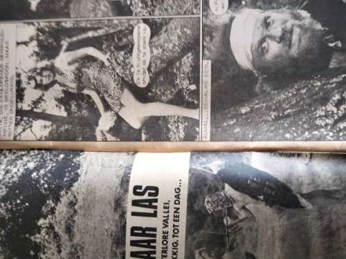 Arend van die Oerwoud nr 95