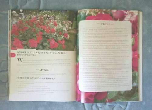 Rose SA Groeigids vir al 4 seisoene - Nan Steyn