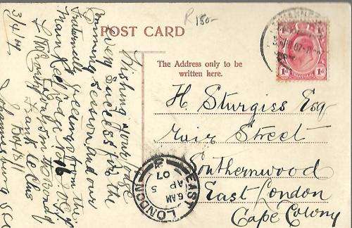 Johannesburg General View Postcard 1900