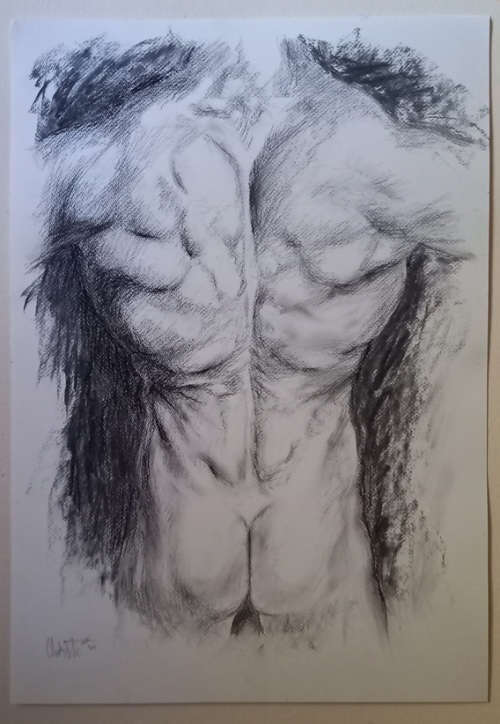 Anatomical Study - Charcoal by Christo R. Wolmarans