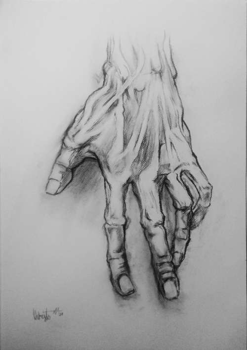 Anatomical Study of a Hand - Large Charcoal drawing - Christo Wolmarans