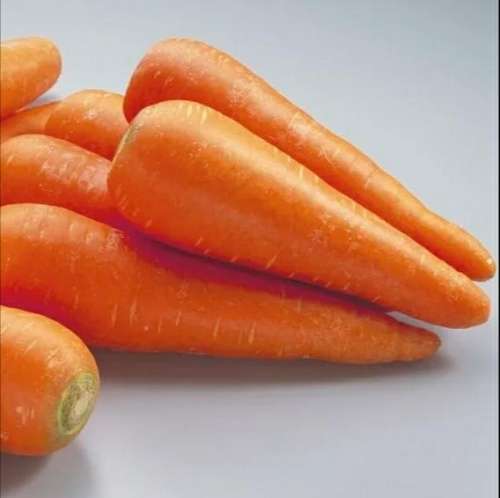 Carrot `kuroda` - 400 seeds