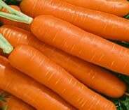 Carrot `ideal red` - 400 seeds
