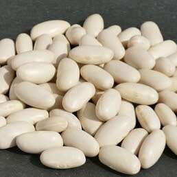 Pole bean `cannelini` - 30 seeds