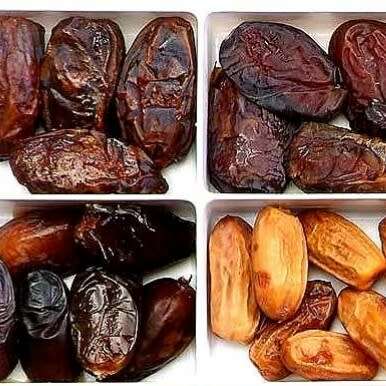 Date palm (mixed varieties) - 25 seeds