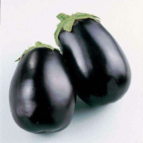 Black beauty Eggplant (Brinjal) - 25 seed