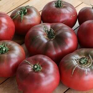 Tomato `cherokee purple` - 15 seeds