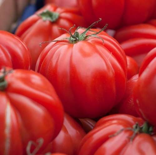 Tomato `zapotek pleated` - 25 seeds