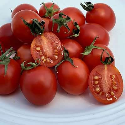 Tomato `principe borghese` - 25 seeds