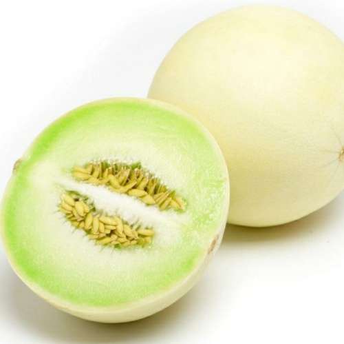 Green honeydew melon - 20 seeds