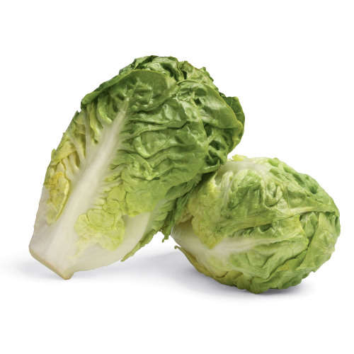 Cos lettuce `little gem` - 200 seeds