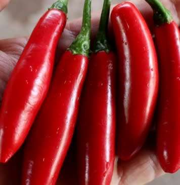 Serrano chilli - 25 seeds