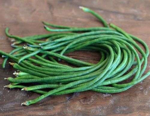 Green noodle (yard long) bean - 10 seeds