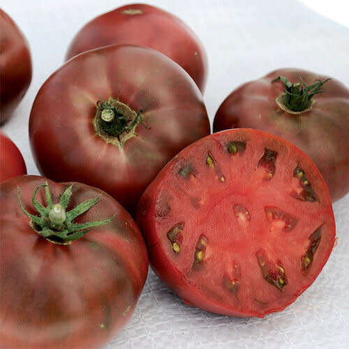 Tomato `carbon` - 25 seeds