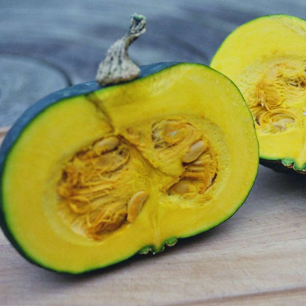Kabocha squash (Japanese pumpkin)  - 10 seeds