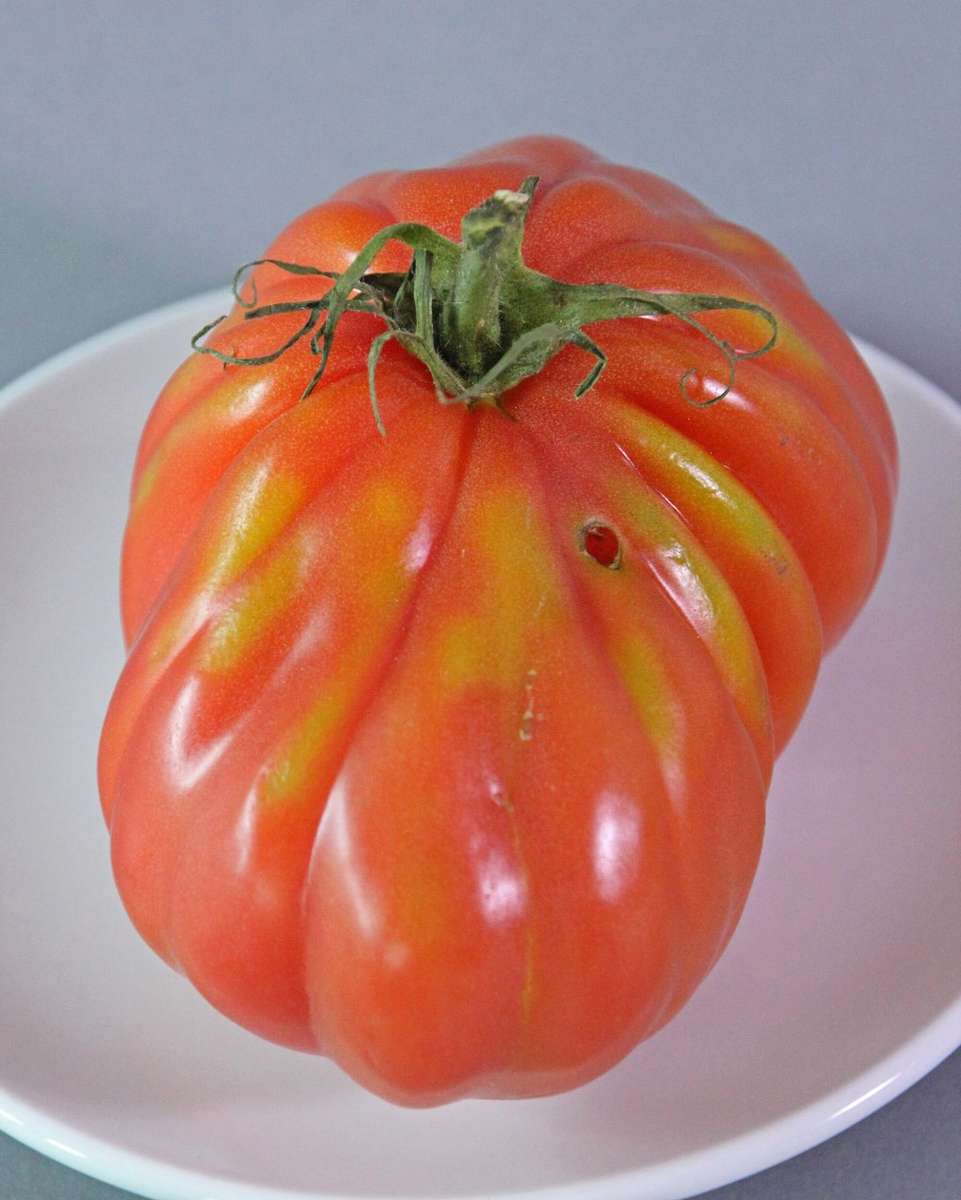 Tomato 'cuor di bue' - 10 seeds