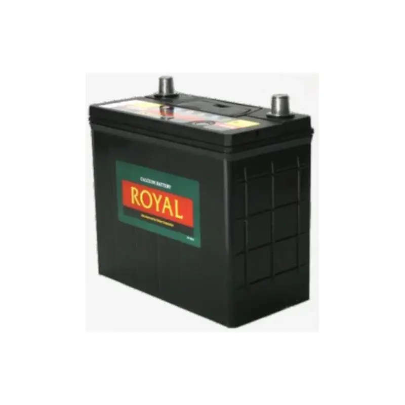 Royal Delkor battery NS60SMF 12v 45AH
