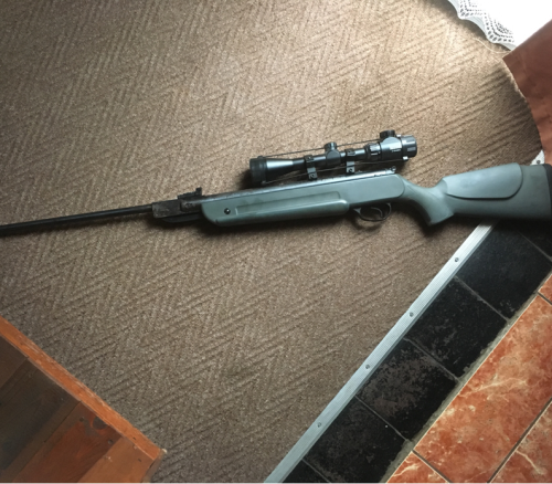 Hatsan Mod70 pellet gun with Telescope