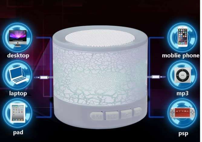 Portable wireless speaker