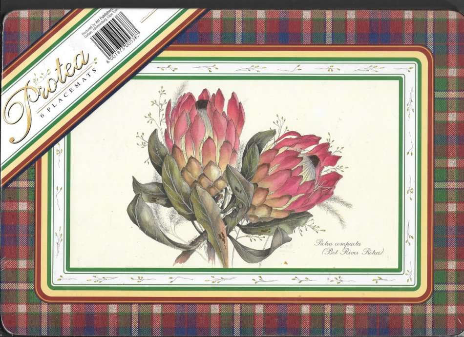 PROTEA PLACE MATS. Set of 6 NEW but almost vintage! Beautiful printed botanical art . Art Publishers