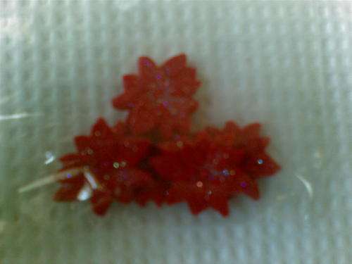 Icing images cake decoration