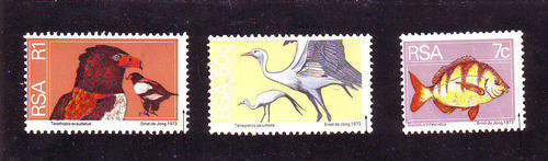 RSA Varieties& Errors